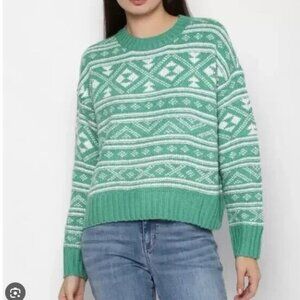 American Eagle Outfitters Green Knit Sweater Womens Medium Winter Cozy Soft